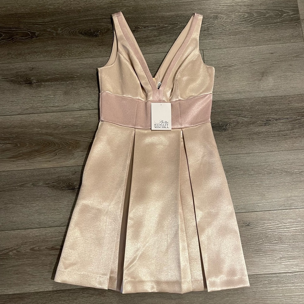 NWT Belle Badgley Mischka Dusty Rose Alana Pleated Dress With Pockets Size 0